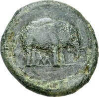 Bronzemünze aus Etrurien mit Darstellung eines Elefanten