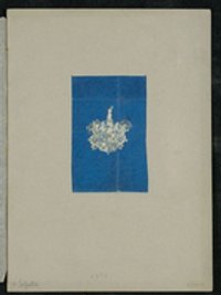 Scherenschnitt mit Darstellung des Wappens "von Selpeter"