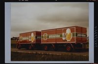 Biertransport-LKW Typ MAN 18-350 der Brauerei Feldschlößchen AG Braunschweig mit 18 Tonnen Nutzlast, bestehend aus Kastenaufbau und zweiachsigem Hänger zum Transport von Flaschenkästen, Aufnahme von 1975