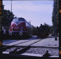 Streckendiesellok V 200 und Dampflokomotive im Museumspark