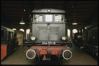 Lokomotive "244 131-9" im Lokschuppen