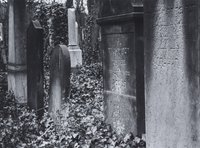 Efraim Habermann: Jüdischer Friedhof in Weißensee, Grabsteine mit Efeu