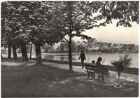 Postkarte Uferpromenade Unteruckersee, um 1970