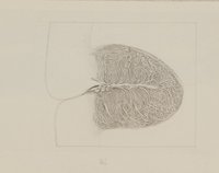 Detail des menschlichen Kleinhirns (?) [aus einem Konvolut anatomischer Zeichnungen des Christian Koeck]