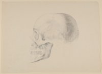 Der Schädel von Wilhelm Heinse [Teilkopie nach Christian Koeck, aus einem Konvolut anatomischer Zeichnungen des Christian Koeck]