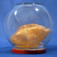 Großes Kugelglas mit gelbem Carnallit (Gurkenglas)