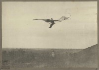 Fotografie: Otto Lilienthal mit Flugapparat "Modell 93"