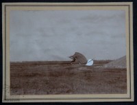 Fotografie Otto Lilienthal bei der Landung (F0101)