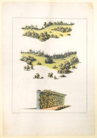 Randpflanzung von Nadelholz, Tafel I der "Andeutungen über Landschaftsgärtnerei"
