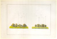Natürlich/Gezwungen gepflanzte Baumgruppe, Tafel III der "Andeutungen über Landschaftsgärtnerei"