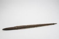 D00304 Schwert mit Haizähnen