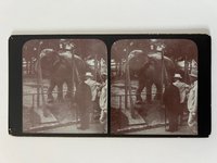 Stereobild, Unbekannter Fotograf, Frankfurt, Im Zoo, dat. 1902.