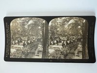 Stereobild, H. C. White, Frankfurt, Nr. 2190, An afternoon concert in the Palm Garden, ca. 1910.