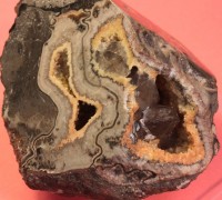 Mineralneubildungen in Ammonitenkammern