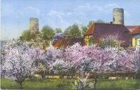Postkarte Baumblüte Kohren-Sahlis