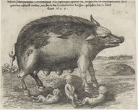 Daß en Schweinmutter 3 erschrockliche Mißgeburten geworffen, dergleichen bei Manß gedencken Nic so// grausam erhört ist worden, wie hic in der Contrafactur zusehen. geschehen den 20 Juny/ Anno 1627.