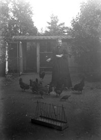 Glasplattennegativ, Großmama Bauer mit ihren Hühnern