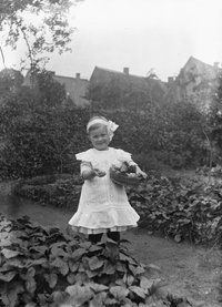 Glasplattennegativ, viertes Foto einer Fotoreihe - Margret Bauer, Erdbeerenbild