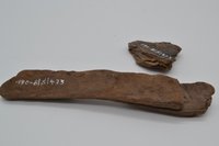 älteste Holzreste aus der Grabung