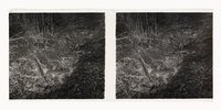 Eingefallener Stollen der Haingrube (Kellerwald/Hessen); Alter des Stollens etwa 30 Jahre alt, August 1952