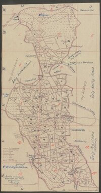 Fragebogen und Karte Effringen, OA Nagold (bis 1806 Amt Wildberg)