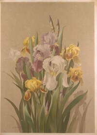 Lithographie mit Darstellung eines Blumenstraußes