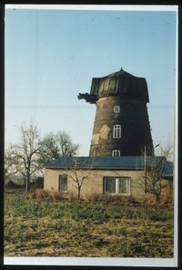 Mühlen in Brandenburg, Holländermühle in Niemegk (Belzig), Fotographie vom März 1991