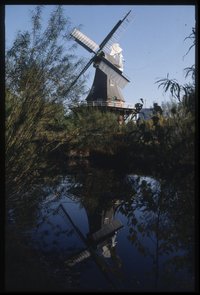 Im Mühlenteich gespiegelte Holländermühle