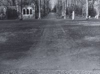 Efraim Habermann: Blick in den Jüdischen Friedhof Weißensee, 1985