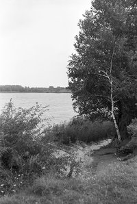 Wolmirsleben, (Großer) Schachtsee, Ansicht 2