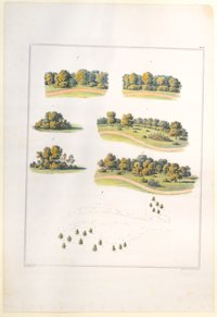 Beispiel und Gegenbeispiel für Pflanzungen, Tafel IV der "Andeutungen über Landschaftsgärtnerei"