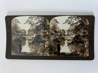 Stereobild, H. C. White & Co, Frankfurt, Nr. 2243, In the Palm Gardens of Frankfort, ca. 1910.