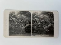 Stereobild, Unbekannter Fotograf, Frankfurt, Nr. 1, Der Palmengarten, Hauptansicht von der Glaswand aus gesehen, ca. 1914.