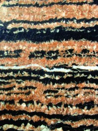 Erzanschliff mit Lagen von Siderit (rötlich-braun) und Zinkblende (dunkel)
