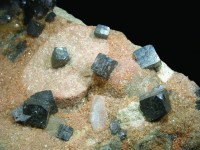 Bleiglanz (würfelige Kristalle, z.T. mit Oktaederflächen) auf einem Konglomerat aus dem Buntsandstein