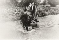 Kurgäste werden hier 1935 mit Pferdewagen durch die Ahr zur Kuranwendung gefahren