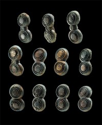 Elf bronzene Gurt- /Riemenbeschläge aus Grab 6/1940 von Bornitz, Burgenlandkreis