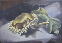 Preusse, August "Abgeschnittene Sonnenblume"