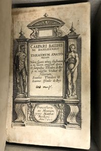 Caspar Bauhin: Theatrum Anatomicum