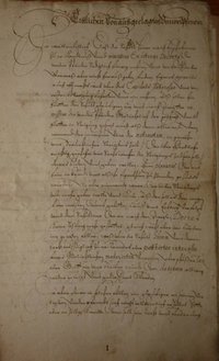 Transkription der Verordnungen der Grafen von Leiningen 1594 -1662