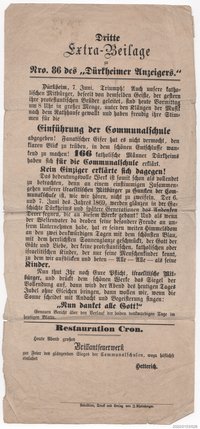 Dritte Extrabeilage Nro. 86 des Dürkheimer Anzeigers 07.06.1869