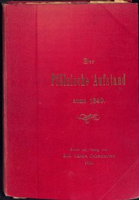 Buch, "Der Pfälzische Aufstand anno 1849"
