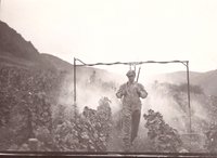 Foto Arbeiter mit Gestell zum Spritzen im Weinberg