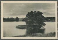 Fotografie eines kleinen Sees mit Insel