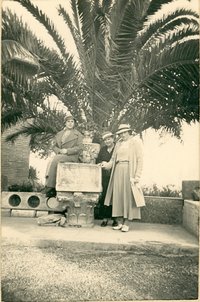 3 Damen vor einer Palme