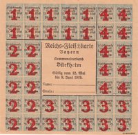 Reichs-Fleischkarte Bayern Kommunalverband Bad Dürkheim Mai 1919