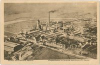 Eilenburg, Deutsche Celluloid-Fabrik, Bildpostkarte, Fligeraufnahme
