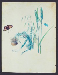 Pflanzenstudie (Blatt 82)