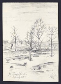 Kahle Bäume und Baumstümpfe in verschneiter Landschaft