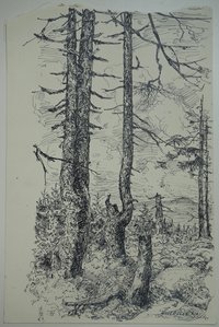 Blick zum Wurmberg, von Christian Hallbauer, September 1924